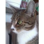 Imágenes de los usuarios Philips Xenium E560 Imágenes de los usuarios Philips Xenium E560