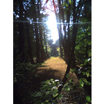 PHOTOS FAITES AVEC CE SMARTPHONE