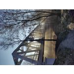 PICTURES FROM THIS PHONE