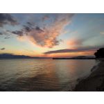 PICTURES FROM THIS PHONE