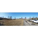 PICTURES FROM THIS PHONE PICTURES FROM THIS PHONE