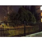 Foto dei utenti POCO X4 Pro Foto dei utenti POCO X4 Pro