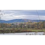 FOTOS AUS DIESEM HANDY