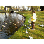 來自這款手機的圖片