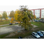 來自這款手機的圖片