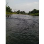 FOTO FATTE CON QUESTO TELEFONO