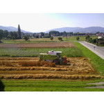 PHOTOS FAITES AVEC CE SMARTPHONE