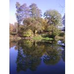 PHOTOS FAITES AVEC CE SMARTPHONE