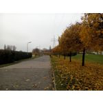 Pictures by this phone Prestigio MultiPhone 7600 DUO