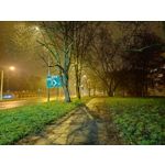 LAS FOTOS HECHAS CON ESTE TELÉFONO