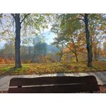 PHOTOS FAITES AVEC CE SMARTPHONE