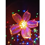 Pictures by this phone Realme 9 Pro+
