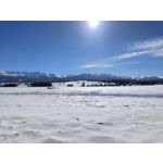 Pictures by this phone Realme 9 Pro+