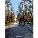 Pictures by this phone Realme 9 Pro+