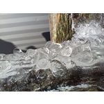 Pictures by this phone Realme 9 Pro+