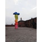 Foto dei utenti Realme C11