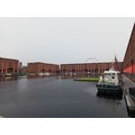 Foto dei utenti Realme C11