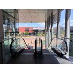 Foto dei utenti Realme C11