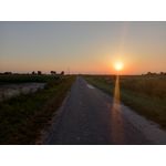 Foto dei utenti Realme C11