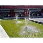 Foto dei utenti Realme C11