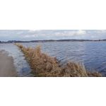 Imágenes de los usuarios Realme C3 RMX2020 Imágenes de los usuarios Realme C3 RMX2020