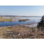 Imágenes de los usuarios Realme C3 RMX2020 Imágenes de los usuarios Realme C3 RMX2020