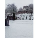 Imágenes de los usuarios Realme C3 RMX2020 Imágenes de los usuarios Realme C3 RMX2020