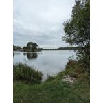 用戶照片 Realme C55