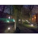 用戶照片 Realme C55