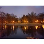 用戶照片 Realme C55