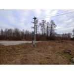 用戶照片 Realme C55