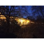 用戶照片 Realme C55