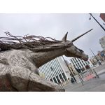 用戶照片 Realme C55