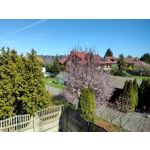 ФОТКИ СНЯТЫЕ ДАННЫМ МОБИЛЬНИКОМ