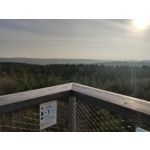 Фотографии пользователя Realme X2