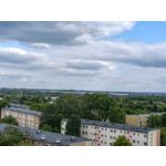 來自這款手機的圖片