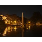 来自这款手机的图片