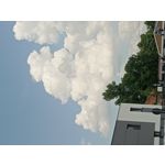 PICTURES FROM THIS PHONE