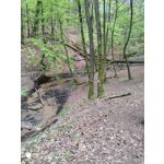 PICTURES FROM THIS PHONE