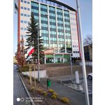 PICTURES FROM THIS PHONE