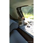 LAS FOTOS HECHAS CON ESTE TELÉFONO