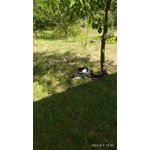 LAS FOTOS HECHAS CON ESTE TELÉFONO