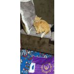 ФОТКИ СНЯТЫЕ ДАННЫМ МОБИЛЬНИКОМ