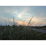 用戶照片 Redmi 9 M2004J19C