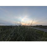 用戶照片 Redmi 9 M2004J19C