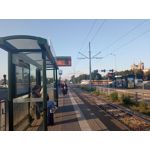 用戶照片 Redmi 9 M2004J19C