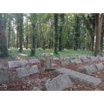 用戶照片 Redmi 9 M2004J19C