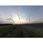 用戶照片 Redmi 9 M2004J19C