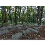 用戶照片 Redmi 9 M2004J19C