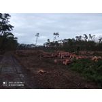 FOTO FATTE CON QUESTO TELEFONO